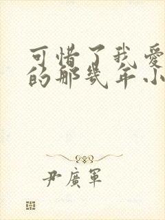 可惜了我爱着你的那几年小说