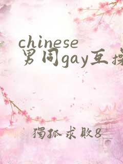 chinese男同gay互操