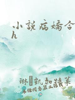 小说病娇合集有h