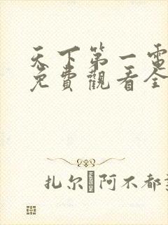 天下第一电视剧免费观看全集高清