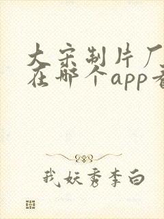 大宋制片厂短剧在哪个app看