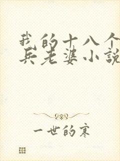 我的十八个特种兵老婆小说