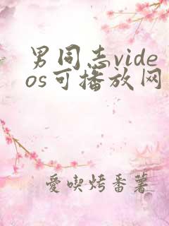男同志videos可播放网站