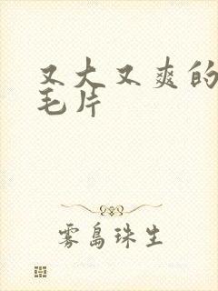 又大又爽的少妇毛片