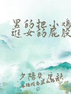 男的把小鸡鸡插进女的屁股里