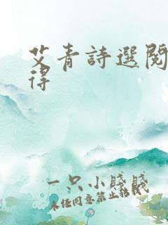 艾青诗选阅读心得