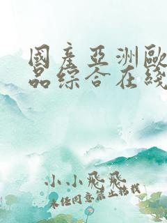 国产亚洲欧美精品综合在线