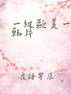 一级欧美一级日韩片