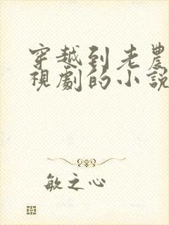 穿越到老农民电视剧的小说