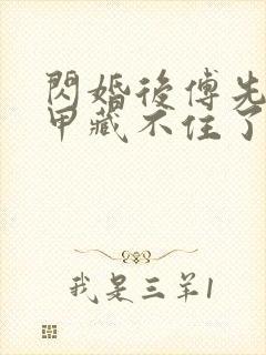 闪婚后傅先生马甲藏不住了 视频