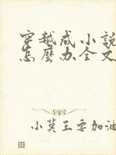 穿越成小说反派怎么办全文阅读