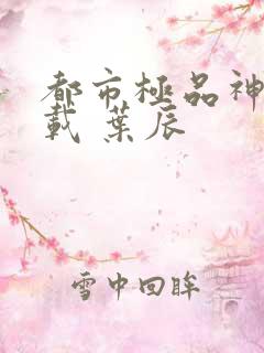 都市极品神医下载 叶辰