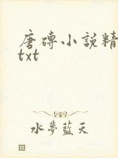 唐砖小说精校版txt