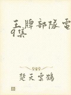 王牌部队电视剧9集