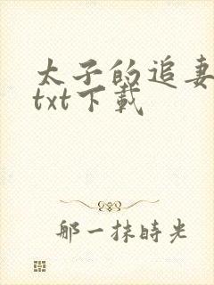太子的追妻日常txt下载