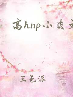 高hnp小爽文