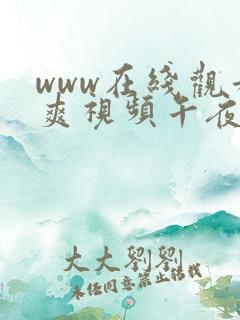 www在线观看爽视频午夜观看