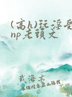 (高h)玩淫受np老头文