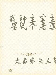 武神主宰主角秦尘几个老婆