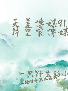 天美传媒91制片皇家传媒