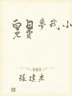 白日梦我小说版免费