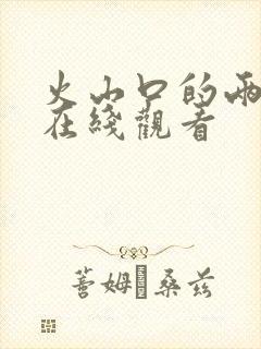 火山口的两人 在线观看