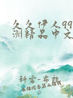 久久伊人99亚洲精品中文