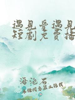 遇见爱遇见幸福短剧免费播放全集