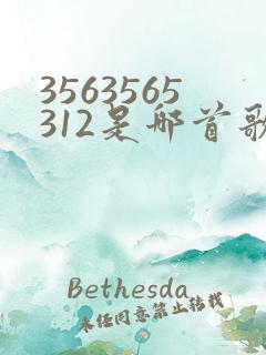3563565312是哪首歌的歌词
