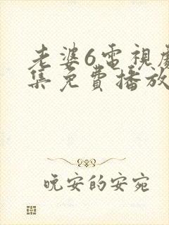 老婆6电视剧全集免费播放西瓜