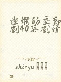 灿烂的季节电视剧40集剧情介绍