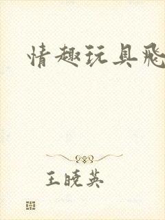 情趣玩具飞机杯