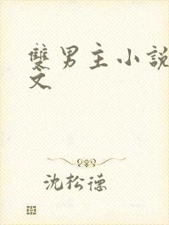 双男主小说推荐文