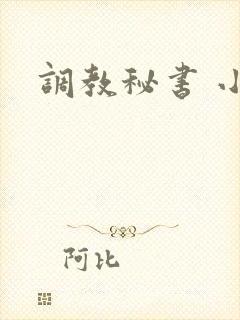 调教秘书 小说