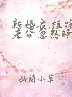 新婚夜,植物人老公忽然睁开眼完整版