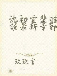 沈初宜裴淮聿小说最新章节免费阅读