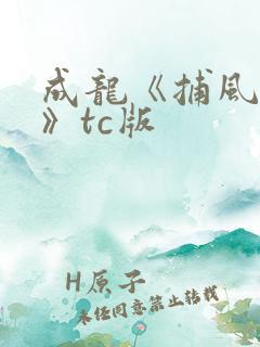 成龙《捕风追影》tc版