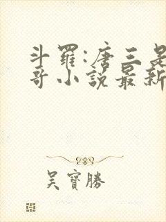 斗罗:唐三是我哥小说最新章节