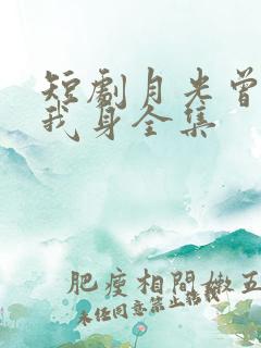 短剧月光曾披满我身全集