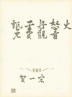 甄子丹怒火重案免费观看