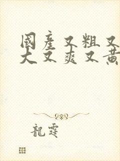 国产又粗又猛又大又爽又黄的视频