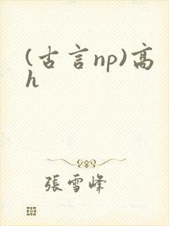 (古言np)高h