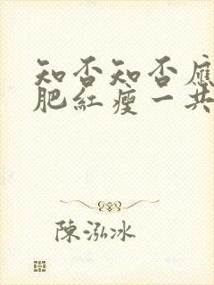 知否知否应是绿肥红瘦一共几集