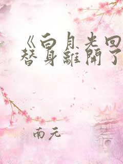 《白月光回来后替身离开了》