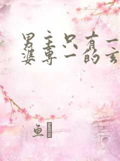 男主只有一个老婆专一的玄幻小说