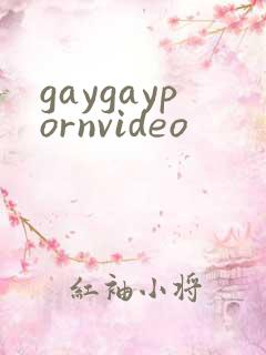 gaygaypornvideo