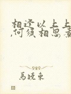 相逢以上上上签,何须相思煮余年什么意思