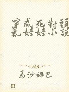 穿成死对头的充气娃娃小说