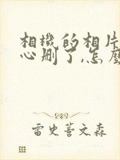 相机的相片不小心删了,怎么恢复