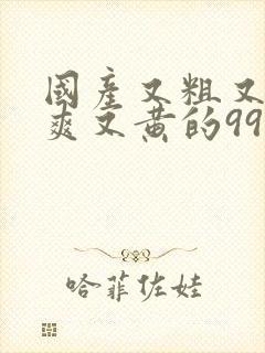 国产又粗又猛又爽又黄的99视频